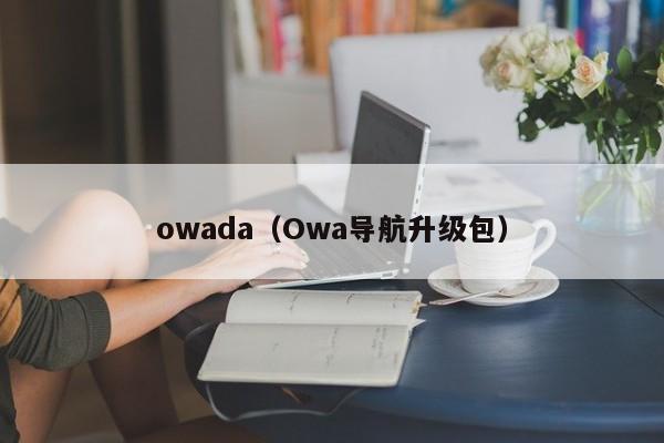 owada（Owa导航升级包）